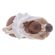 Figura-Decorativa-Wolff-Casal-de-Resina-11cm-x-8cm-x-26cm-24-50-66-189-00-3