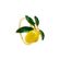 Jogo-de-4-Aneis-para-Guardanapos-Wolff-Limao-Dourado-de-Zinco-4cm-24-57-66-136-04-2