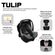 Bebe-Conforto-Tulip-Asphalt-Diamante-ABC-Design-8-03-73-07-01-5